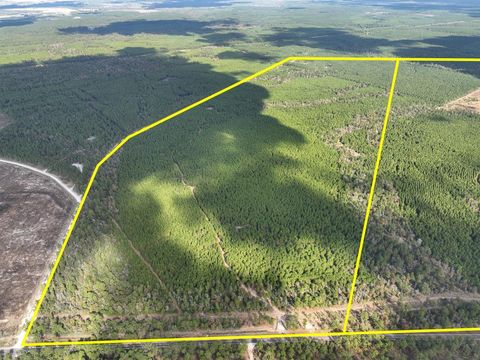 T-3 Fm 247 Huntsville TX 77340