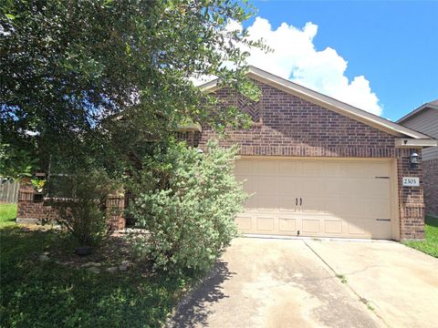 Photo of 2303 Golden Brandy Lane, Rosenberg, TX 77469 (MLS # 26483247)