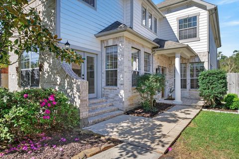 31 Jadewing Court The Woodlands TX 77381