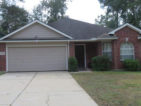 Photo of 12129 La Salle Branch Br, Conroe, TX 77304 (MLS # 58493409)