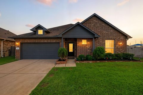 Photo of 302 Bordeaux Court, Alvin, TX 77511 (MLS # 3914134)