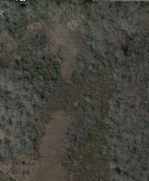 TBD Ranch Road Drive Hilltop Lakes TX 77871