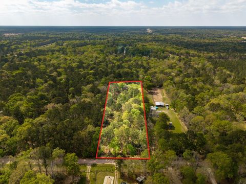 Photo of 65 Ash Place, New Caney, TX 77357 (MLS # 79033542)