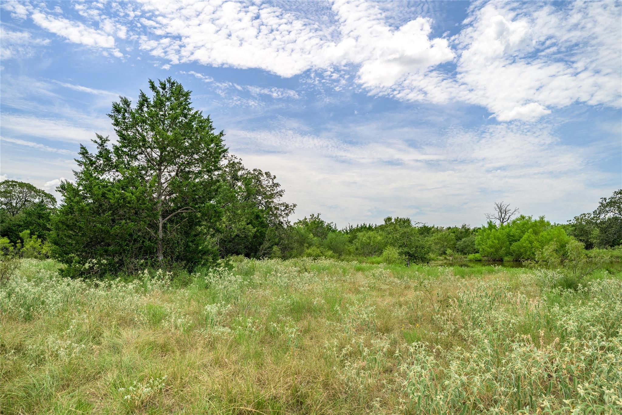 TBD Roy Road