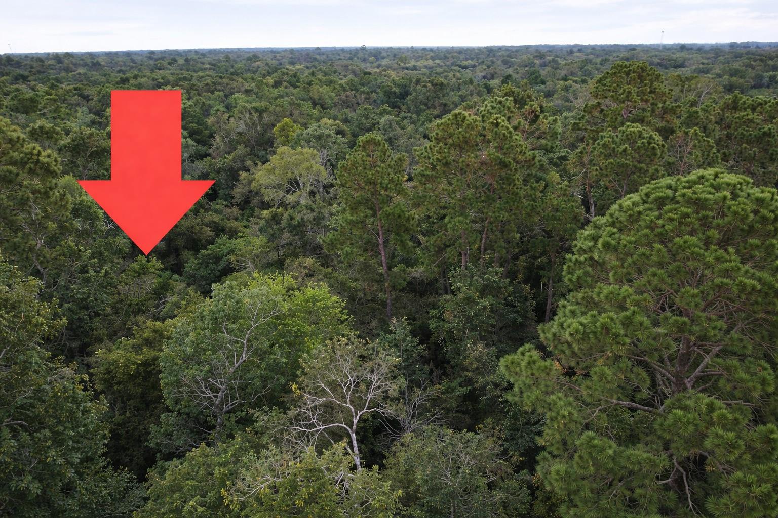 TBD North Essex Drive