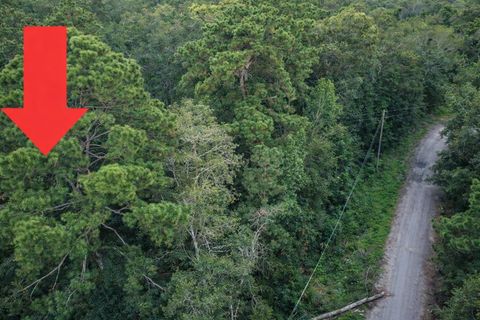 Photo of TBD North Essex Drive, Conroe, TX 77302 (MLS # 45850907)