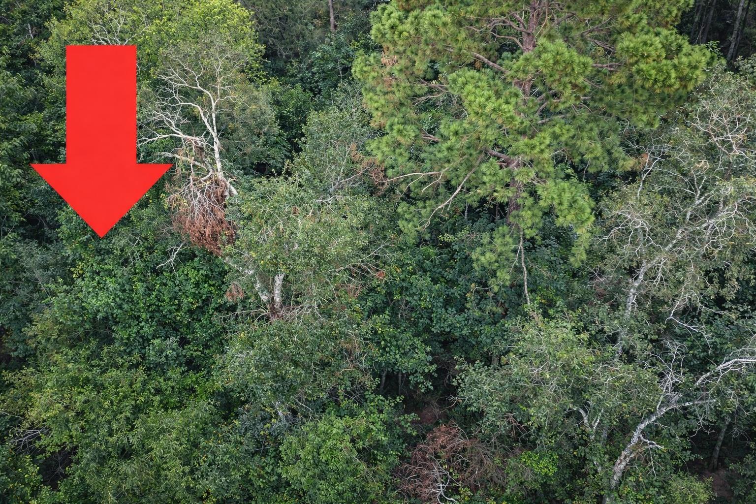 TBD North Essex Drive