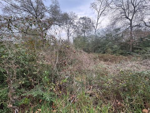 Photo of 0 N Bonnie Lake Dr, Hempstead, TX 77445 (MLS # 58030867)