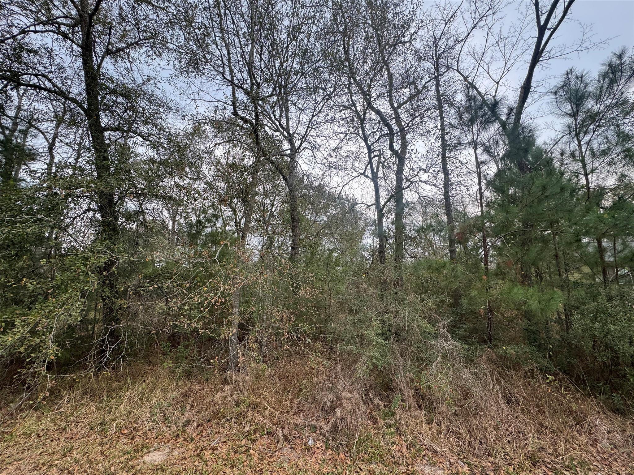 0 N Bonnie Lake Dr