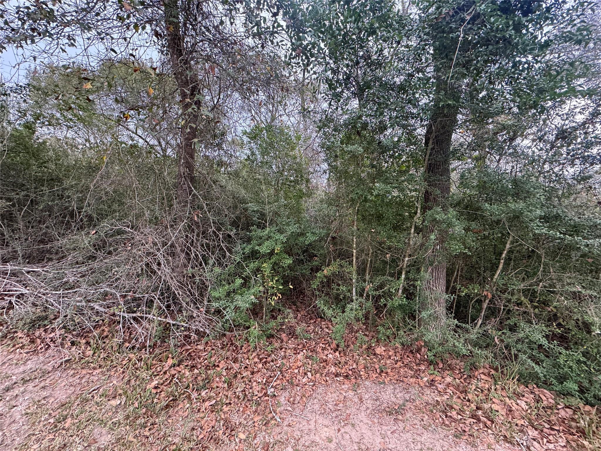 0 N Bonnie Lake Dr