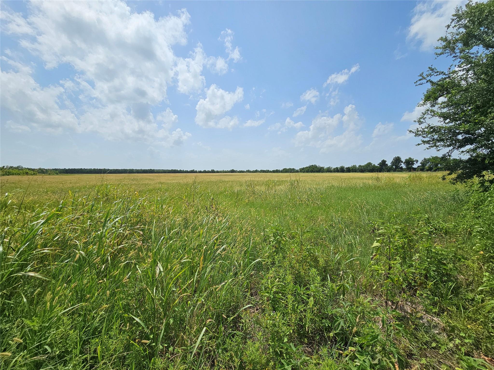Center Parcel Peters Road