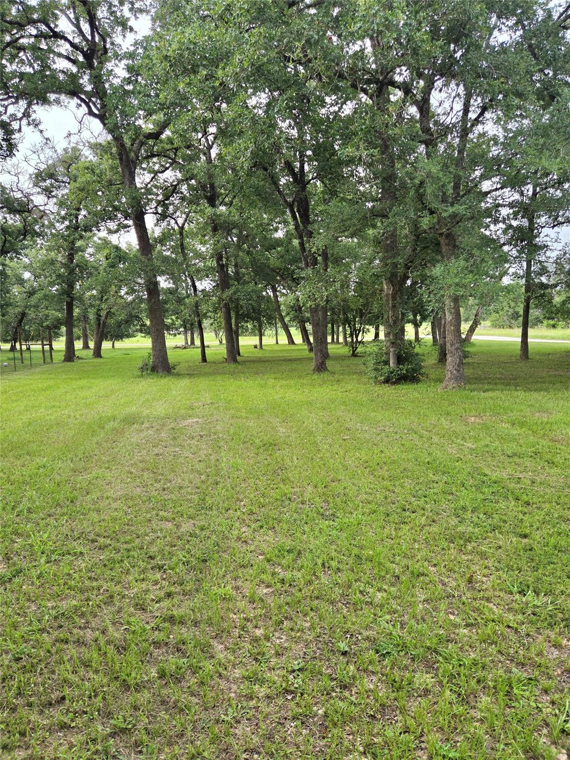 1343 Rocky Lane