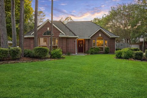 11 Amber Sky Place The Woodlands TX 77381