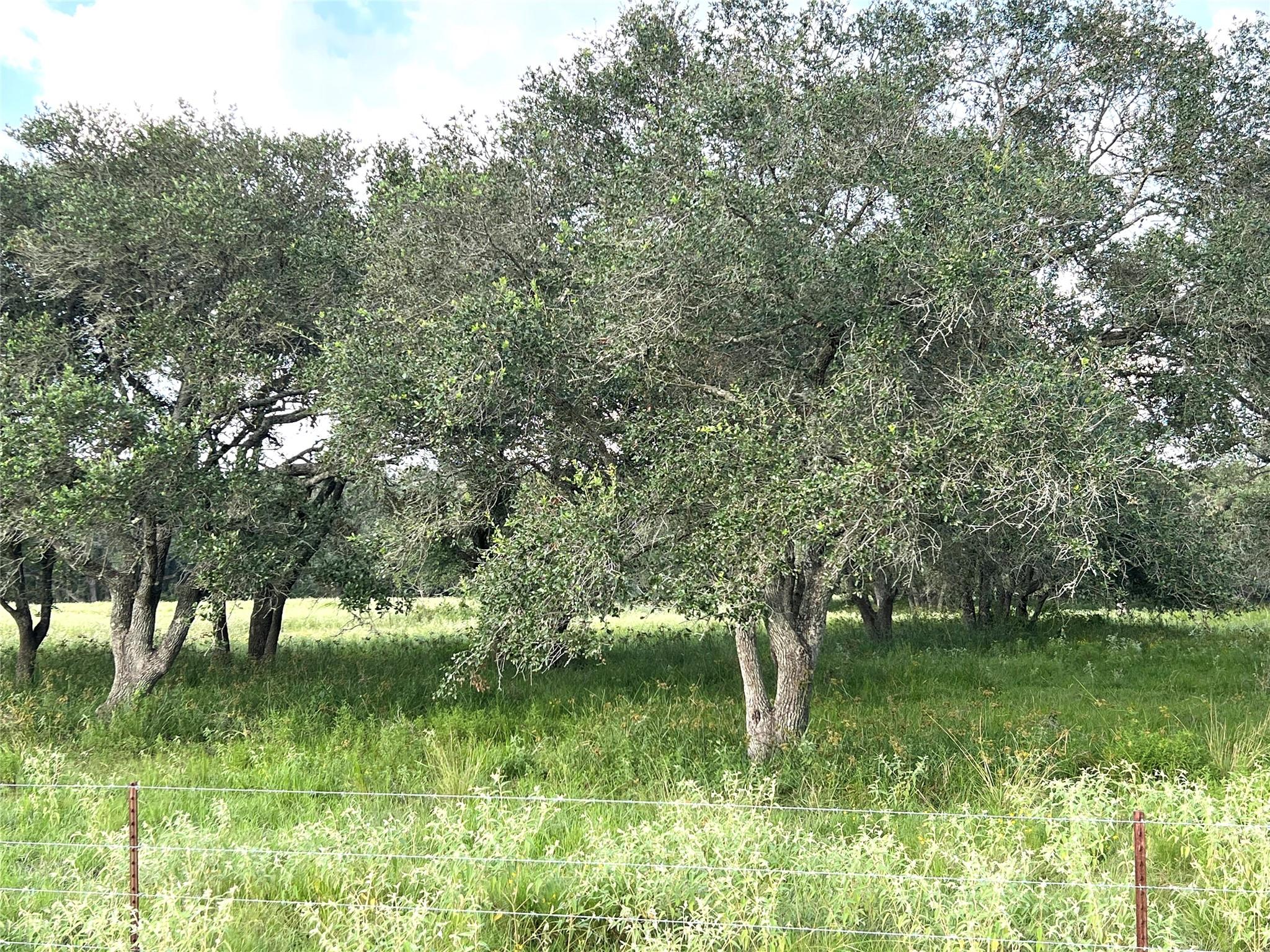 00 County Road 396
