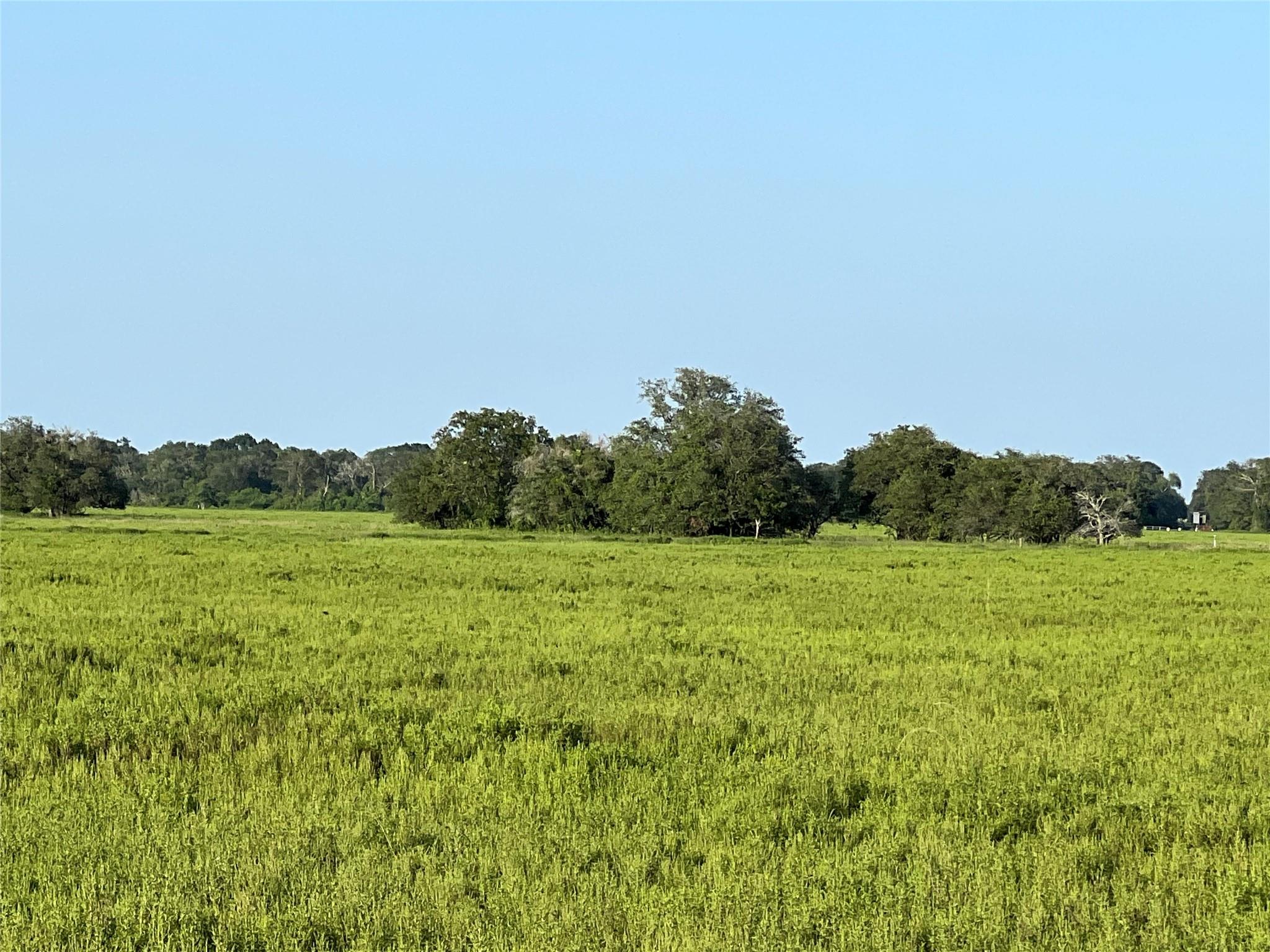 00 County Road 396