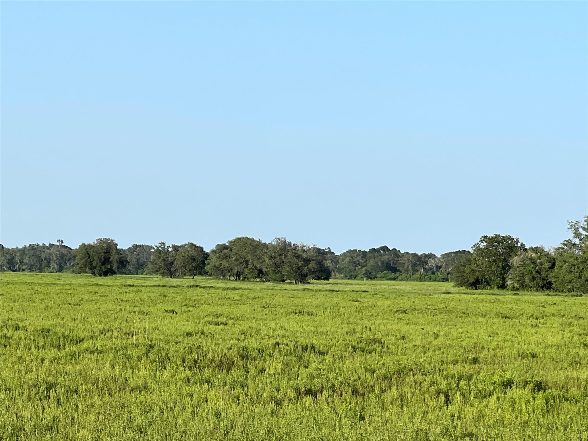 00 County Road 396