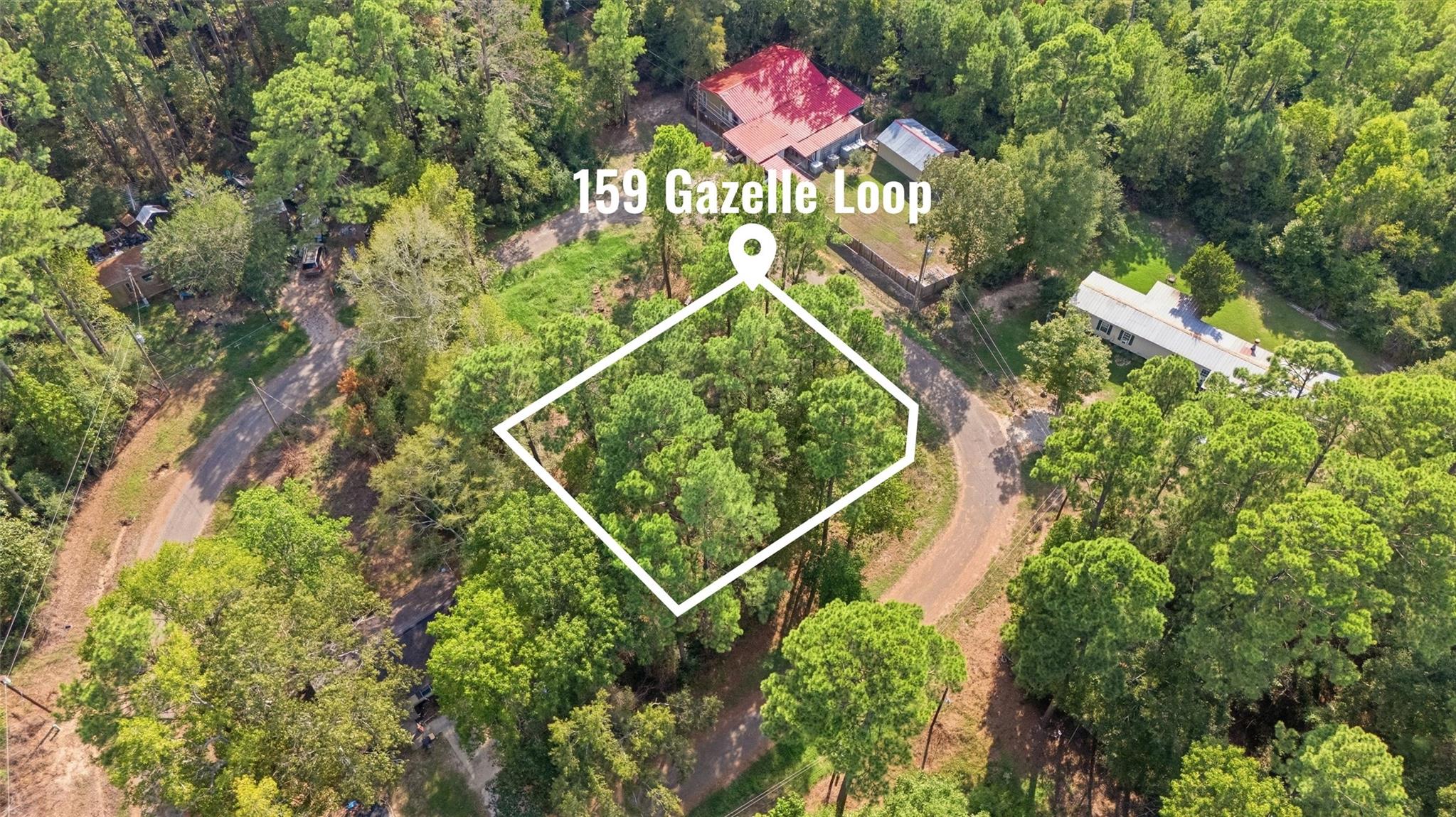 159 Gazelle Loop