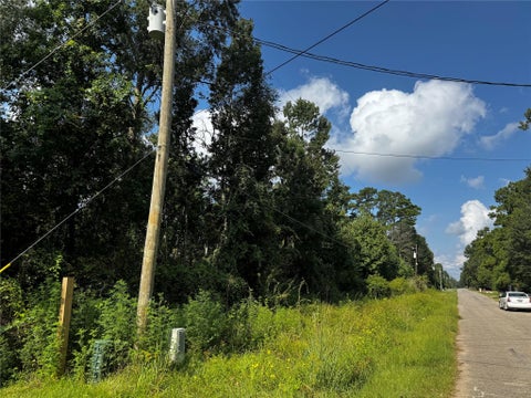 Photo of 17632 Drowsy Pines Pnes, Conroe, TX 77306 (MLS # 56166347)