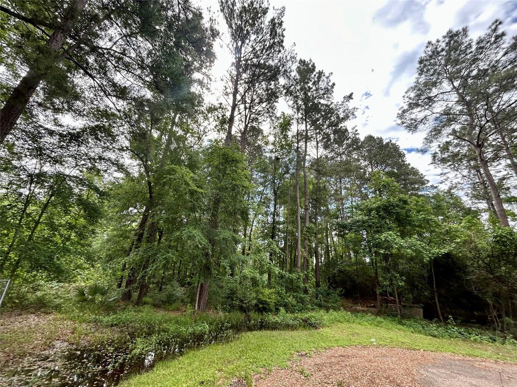 Photo of 19356 Lady Bug, Porter, TX 77365 (MLS # 52554847)