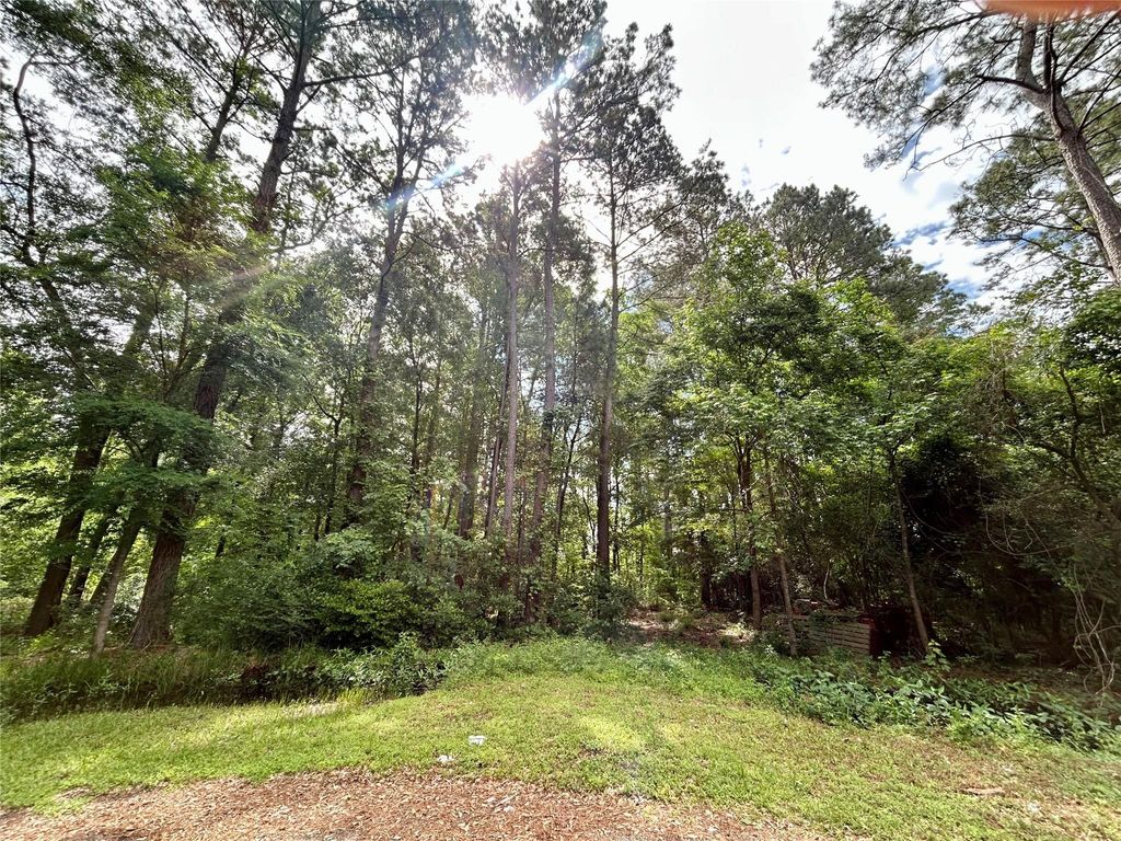 Photo of 19356 Lady Bug, Porter, TX 77365 (MLS # 52554847)