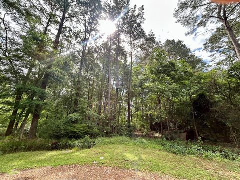 Photo of 19356 Lady Bug, Porter, TX 77365 (MLS # 52554847)