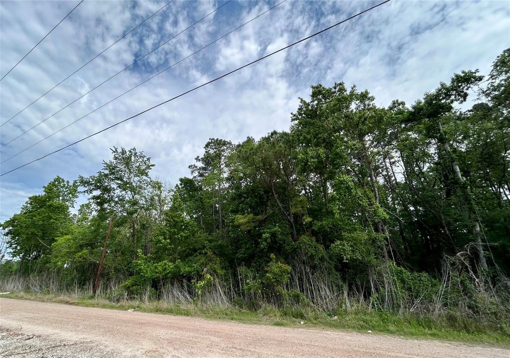 Photo of 19356 Lady Bug, Porter, TX 77365 (MLS # 52554847)
