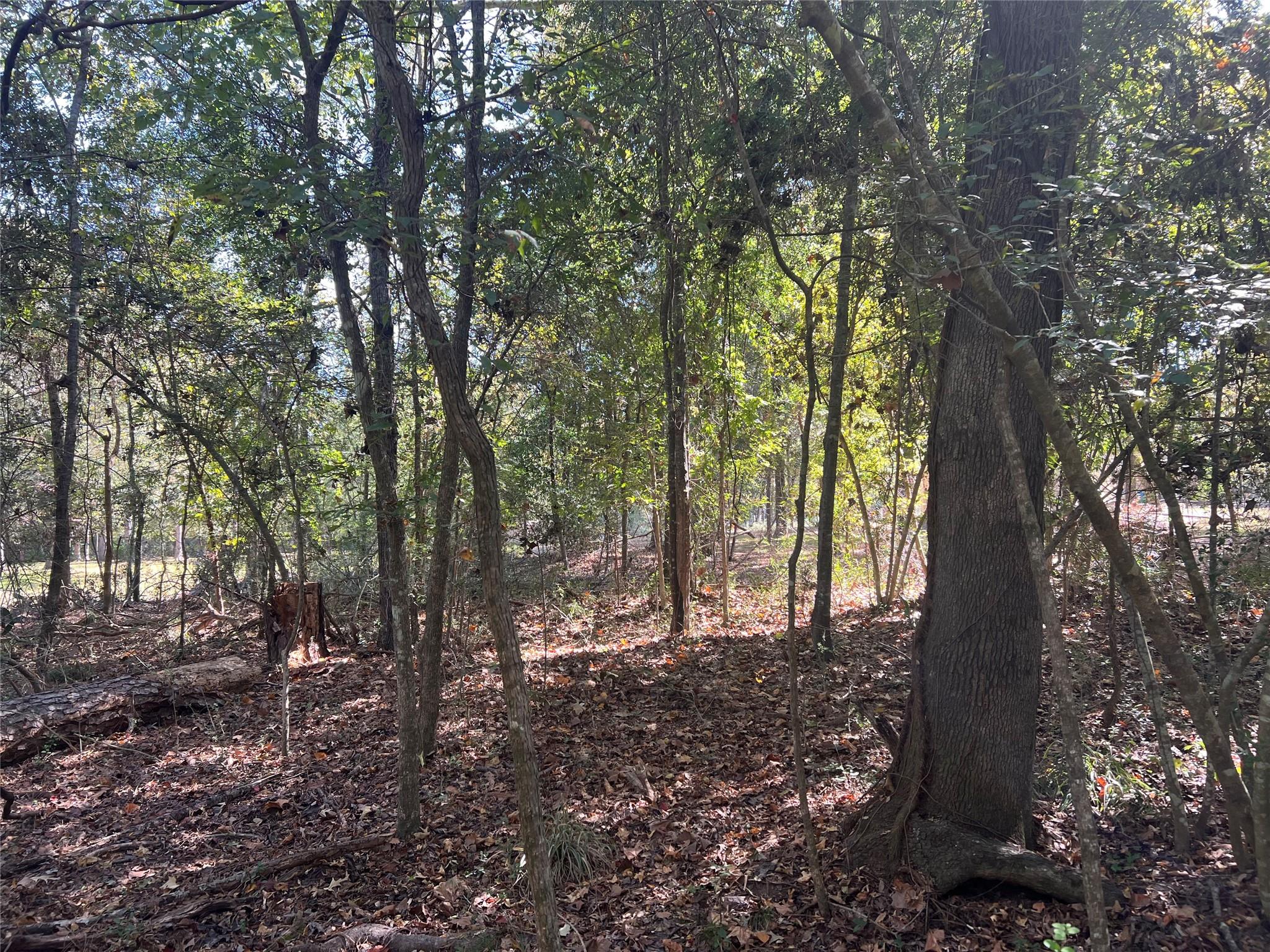 LOT 90 Rio Vista