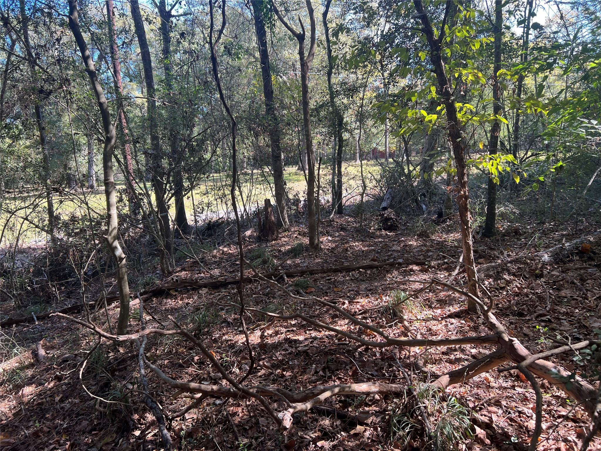 LOT 90 Rio Vista