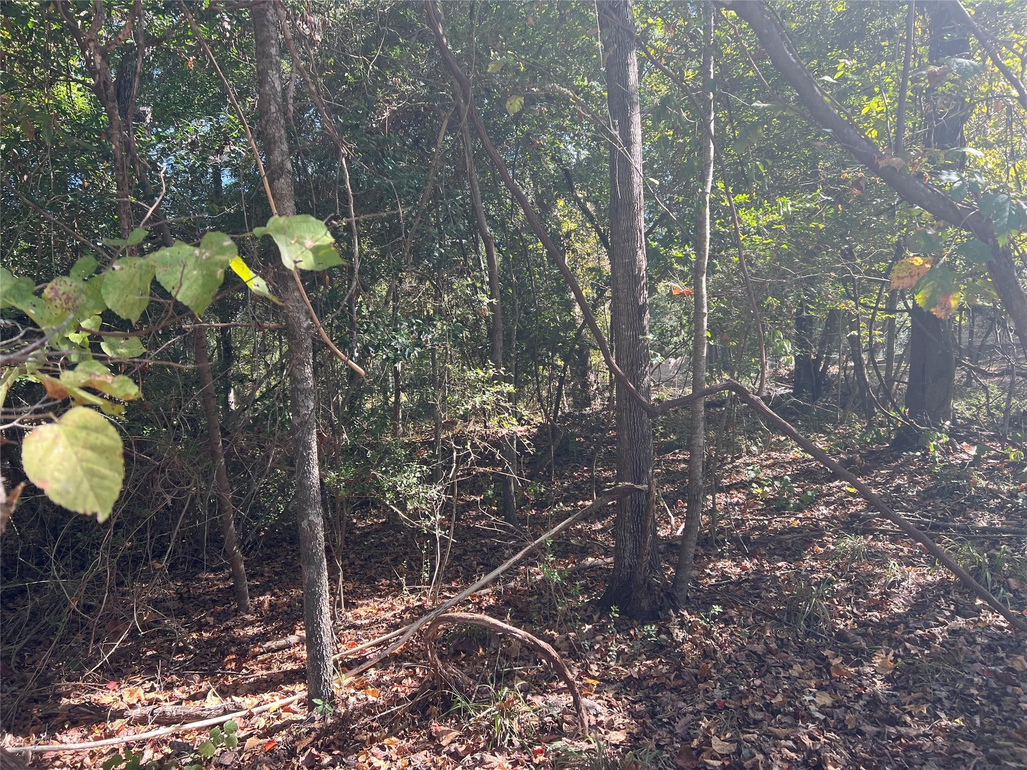 LOT 90 Rio Vista