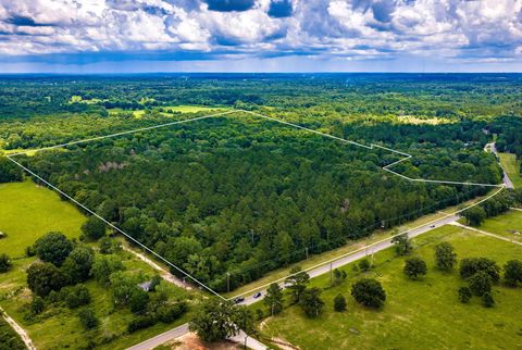 Photo of 1204 Mangum Road, Livingston, TX 77351 (MLS # 70158865)