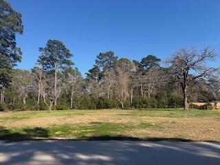 514 Black Bronco Road