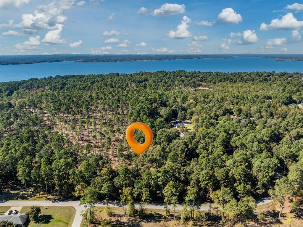 Photo of 4 Pintail Drive, Flint, TX 75762 (MLS # 49523579)