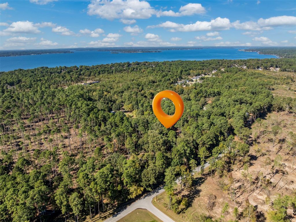 Photo of 4 Pintail Drive, Flint, TX 75762 (MLS # 49523579)