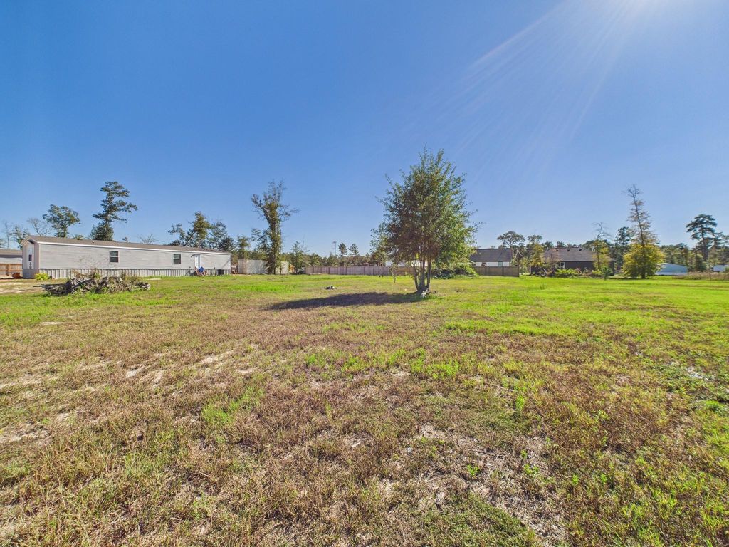 Photo of 1018 Exotic Pines Drive, Huffman, TX 77336 (MLS # 3335365)