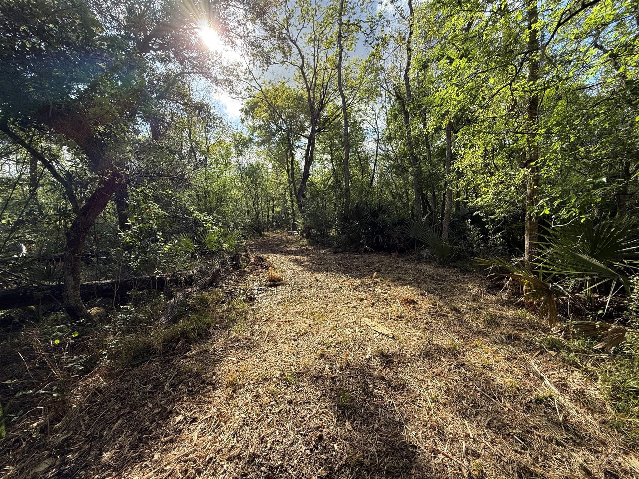 Tract 1 County Road 332