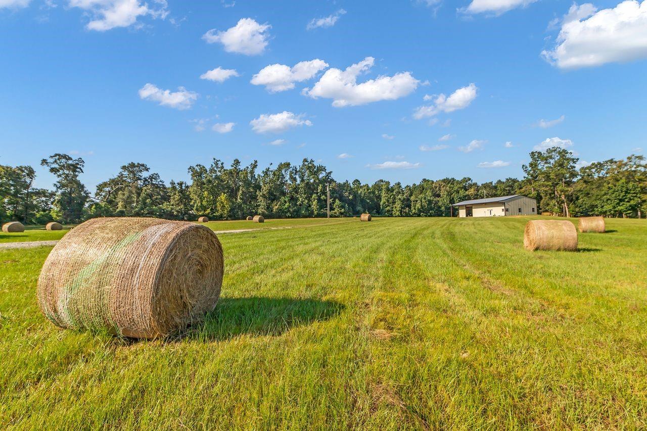 251 Roy Webb Road