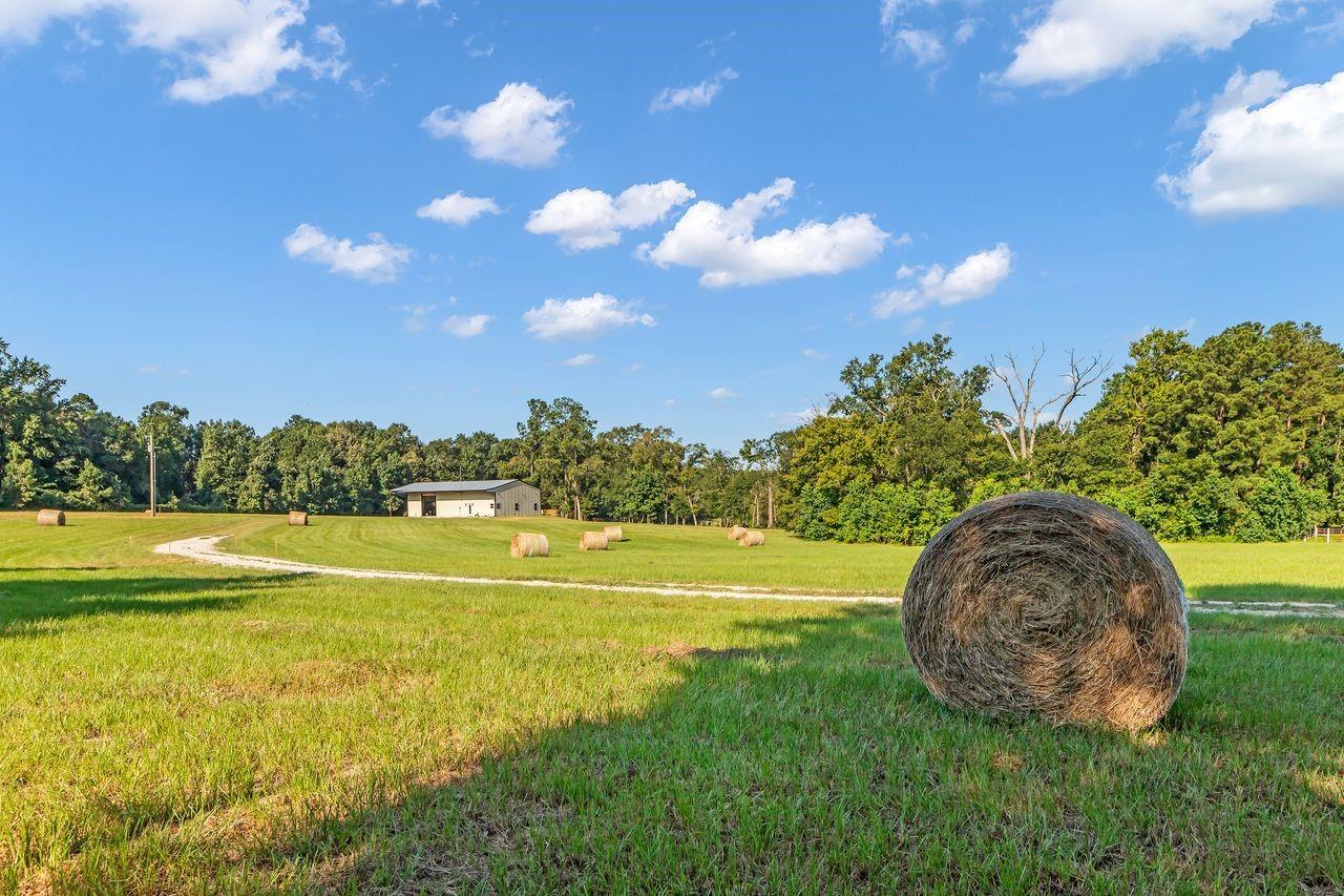 251 Roy Webb Road