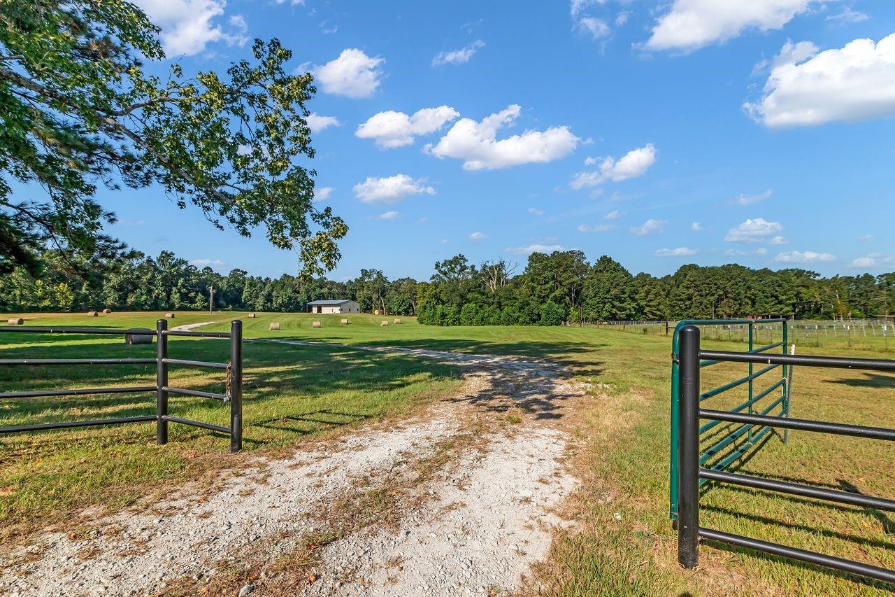 251 Roy Webb Road