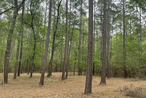 Photo of 2 Remington Road, Huntsville, TX 77340 (MLS # 5432276)