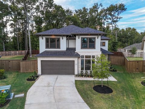 Photo of 8207 Boundary Waters Drive, Porter, TX 77365 (MLS # 60344465)