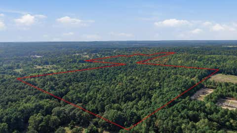 Vacant Land For Sale - An County Road 359<br/> Anderson County, Palestine, TX 75801