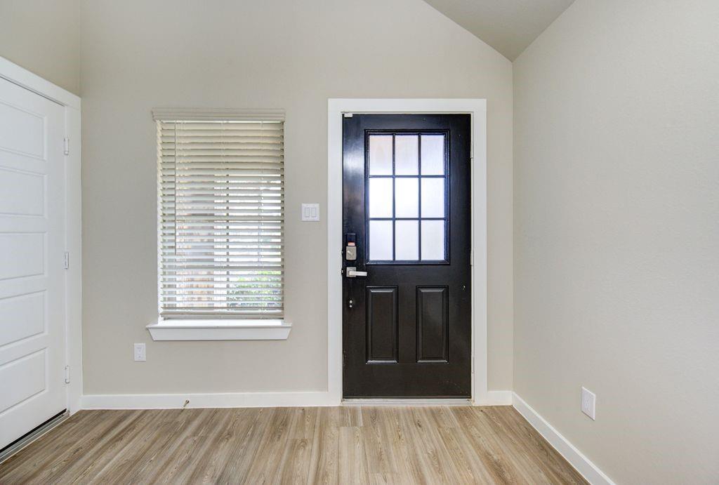 17692 Tree Of Heaven