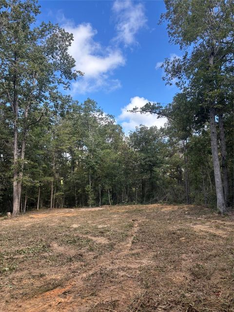 Photo of 182 Conestoga Trail, Livingston, TX 77351 (MLS # 87311292)