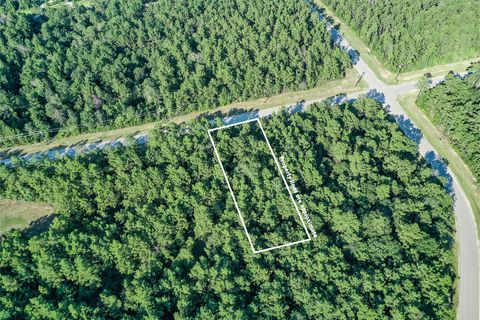 Photo of 68 Coyote Run, Willis, TX 77378 (MLS # 76192024)