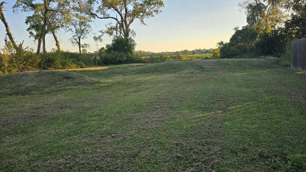 Photo of 10550 Fm 1301 Road, Boling, TX 77420 (MLS # 2718557)
