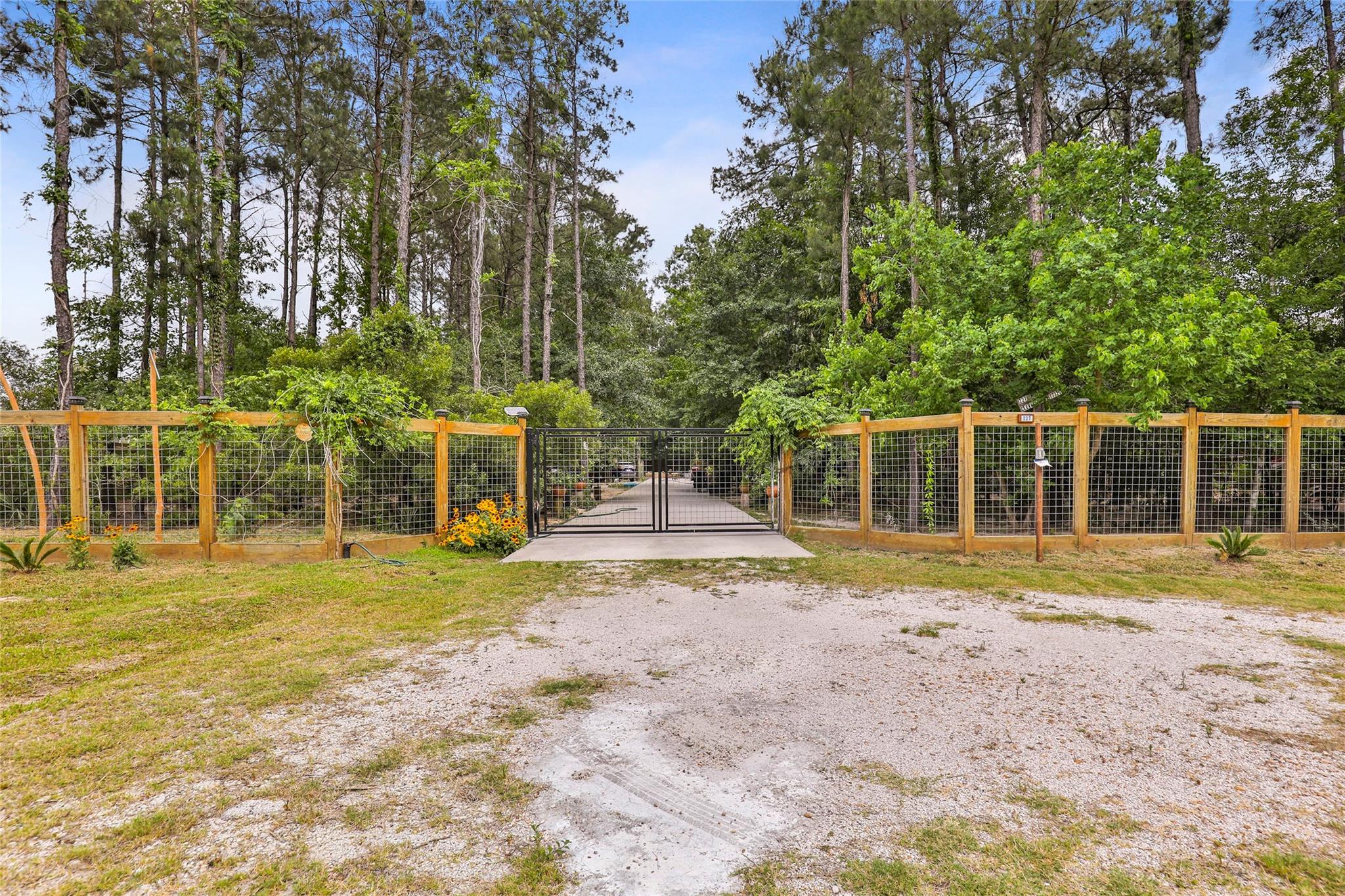 227 County Road 5033