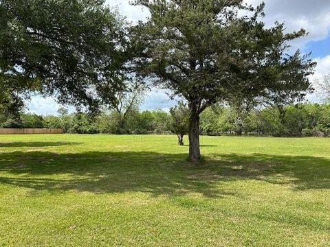 Photo of 3019 Bowser Road, Fulshear, TX 77441 (MLS # 98562195)