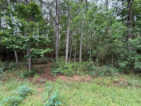 Photo of 281 County Road 2316, Dayton, TX 77535 (MLS # 97189346)