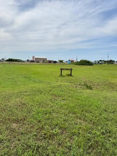Photo of 92 Angelfish Drive, Palacios, TX 77465 (MLS # 80281069)