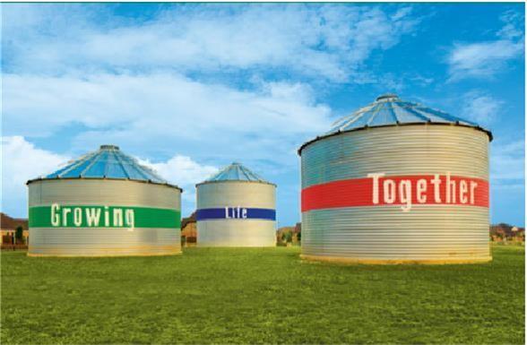 3115 Tulip Terrace Trail